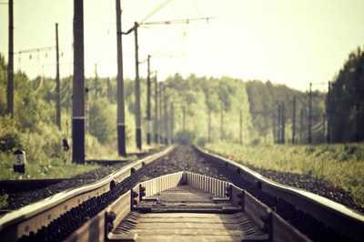 白天，棕色和黑色的火车轨道在树和草之间